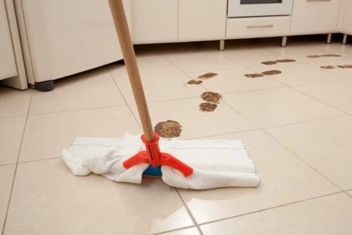 Lily Maids House Cleaning Service of NYC