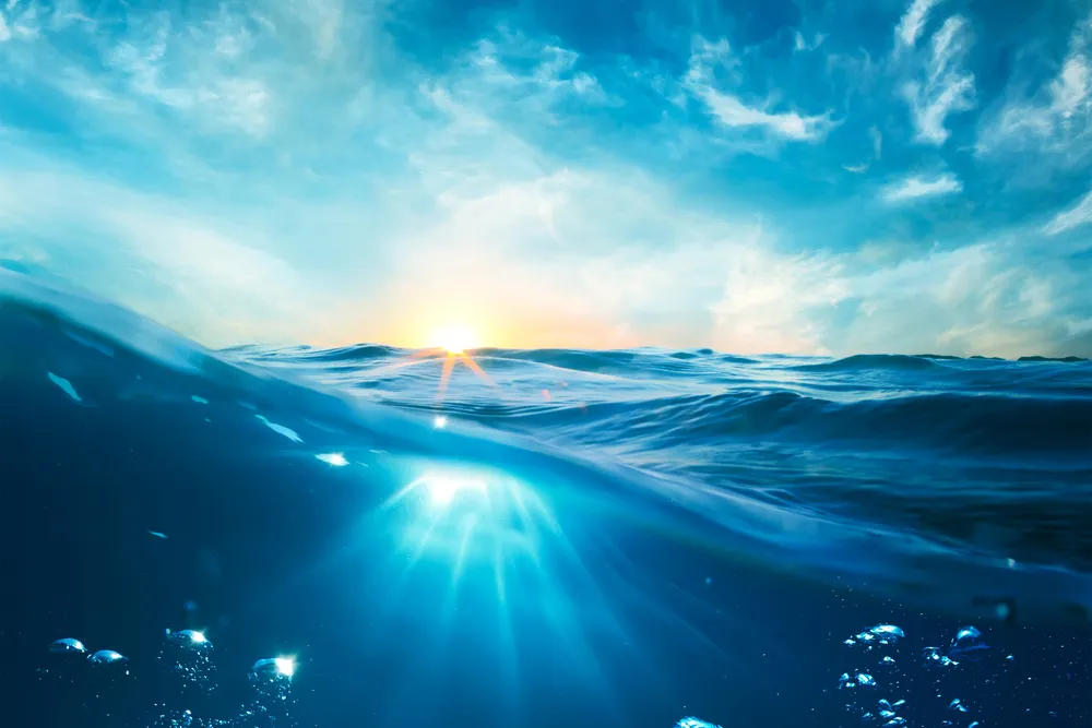 Enhancing Strategic Decision-Making Through Business Valuation Training in Bali