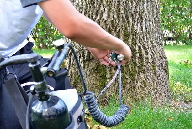 Cost vs. Value: Is Soil Injection Worth the Investment for Your Trees?