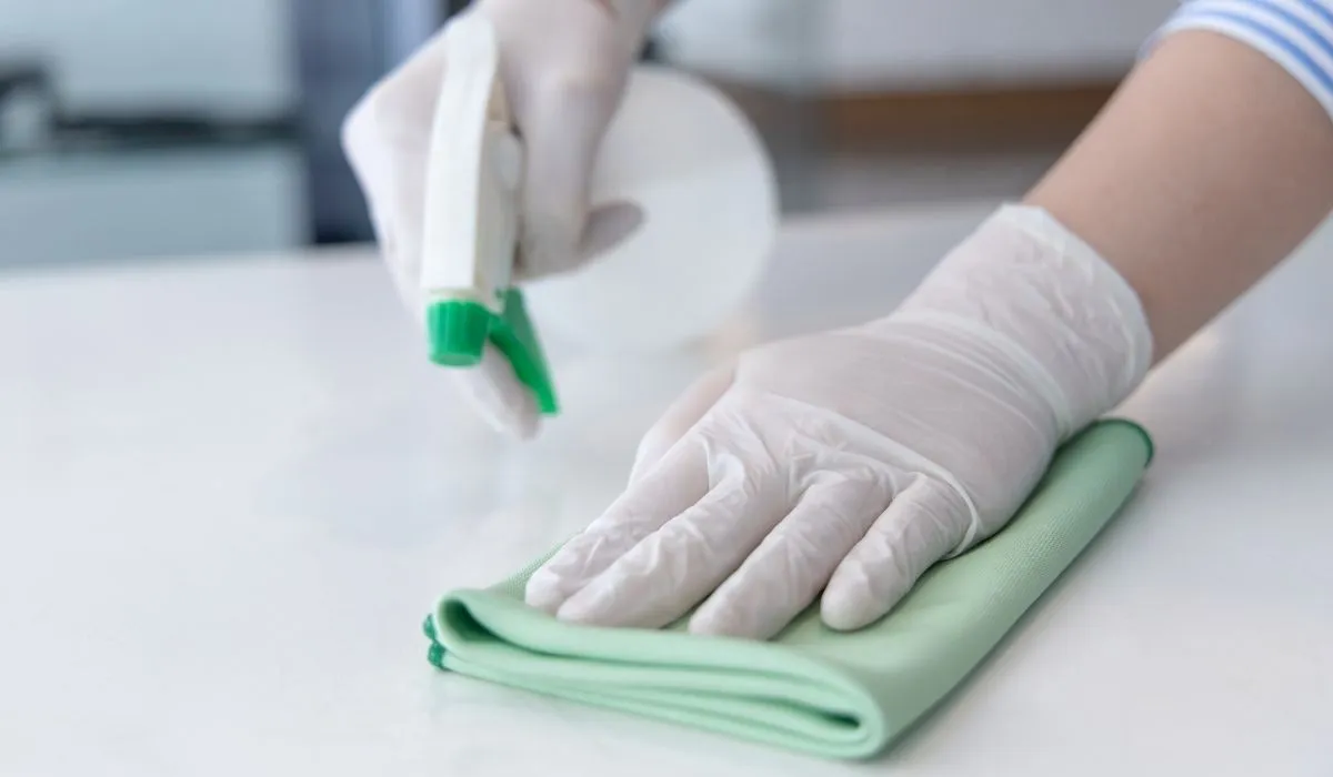 What Do Professional House Cleaning Services Actually Do?