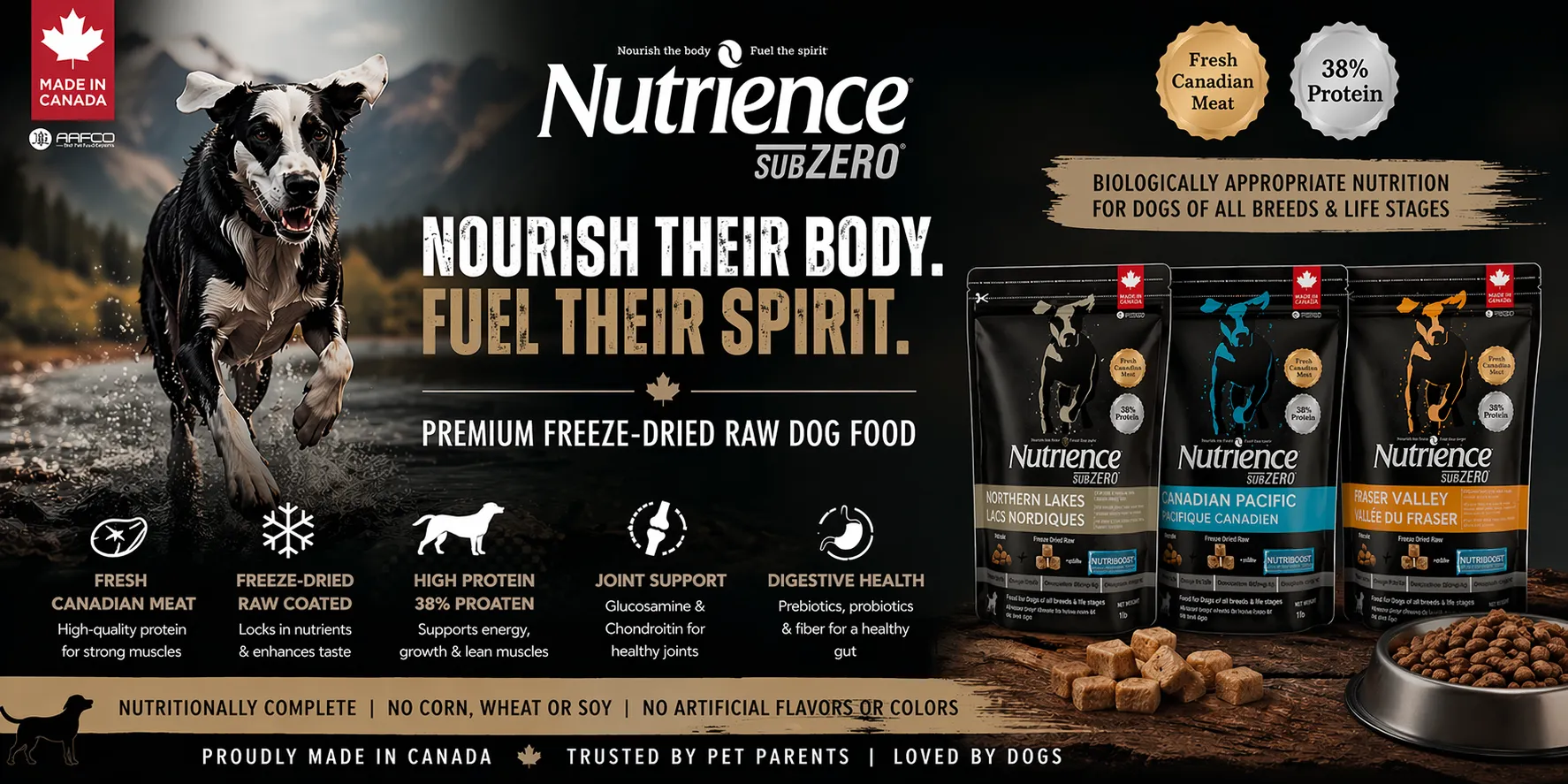 The Best Dog Food in India: A Complete Guide for Pet Parents (2026)