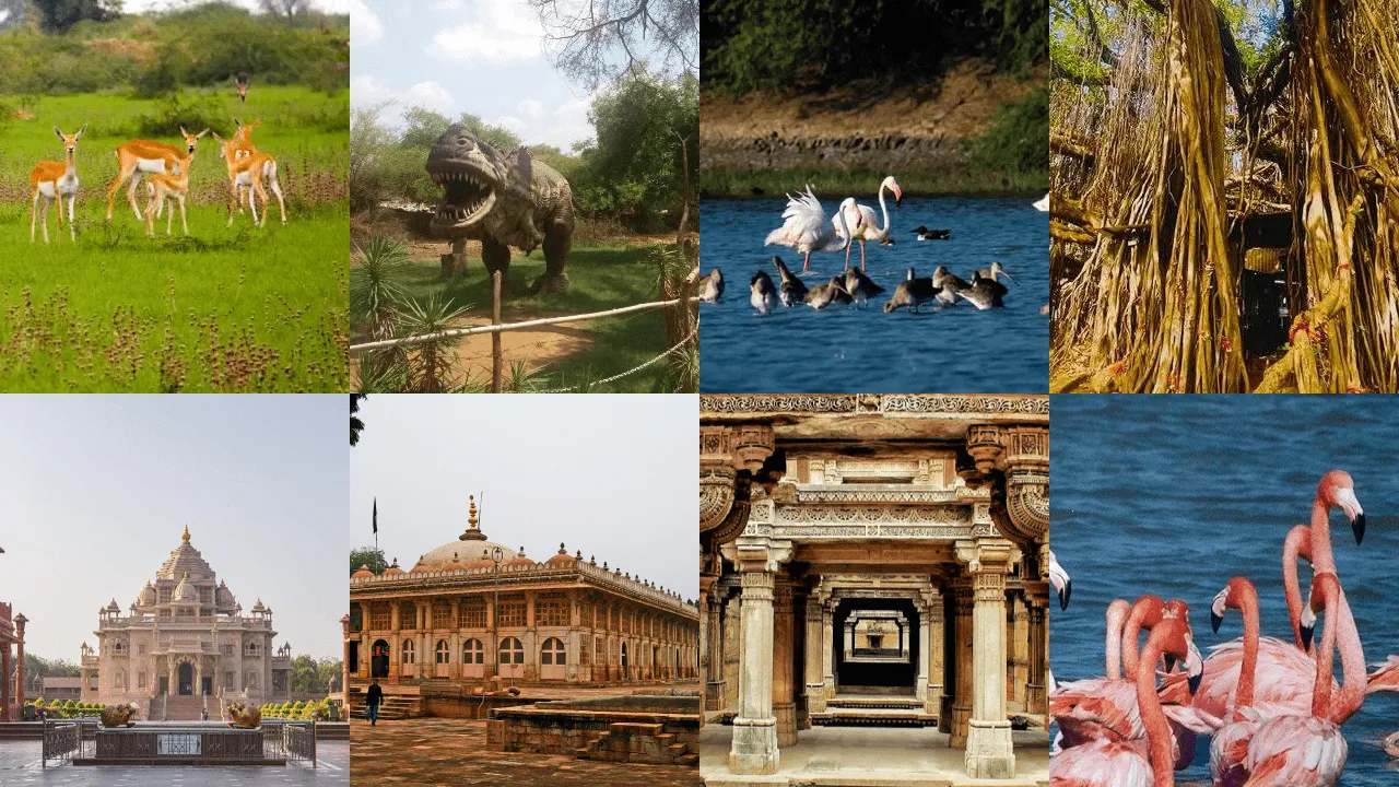 Must-See Ahmedabad: Top 5 Rated Destinations