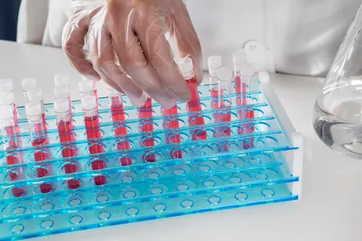 How to Buy ELISA Kits Online for Accurate Results?