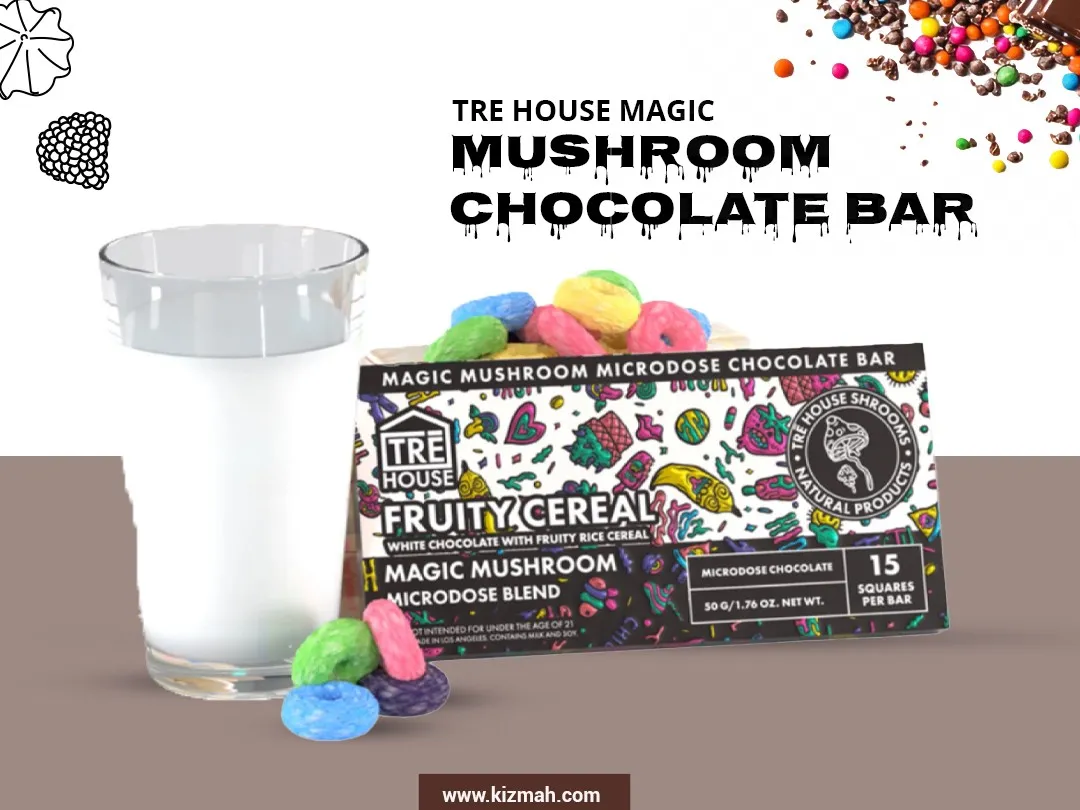 Interpreting the Rise of TRE House Mushroom Bar Experiences