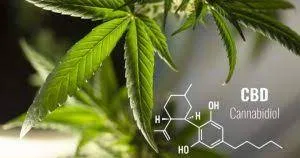 Modern Extraction Technologies Improving Industrial Efficiency