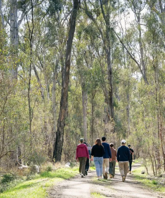 Best Things to Do in Barmah National Park: Culture, Wildlife & River Experiences