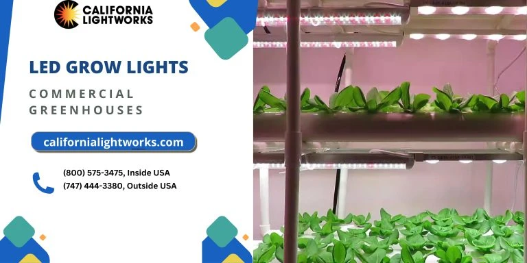 LED Grow Lights for Greenhouse