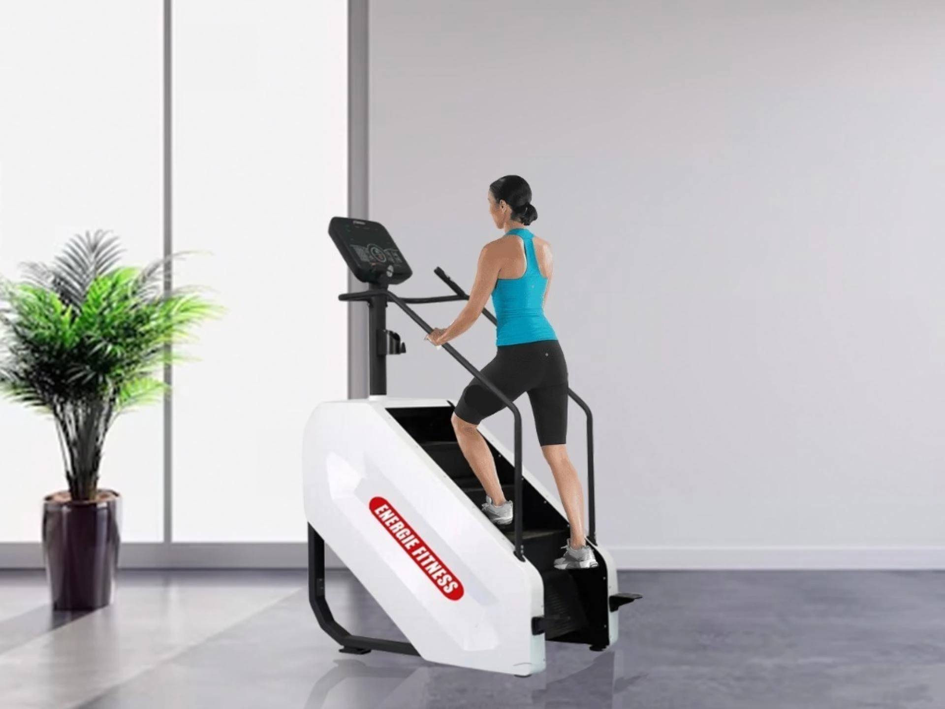 Leading Commercial Gym Equipment Suppliers Importer for Your Fitness Facility