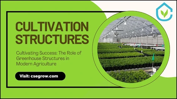 Cultivating Success: The Role of Greenhouse Structures in Modern Agriculture