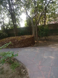 A Small & Beautiful Park in S Block, GK2, Dehradun