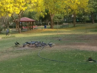A Small & Beautiful Park in S Block, GK2, Dehradun