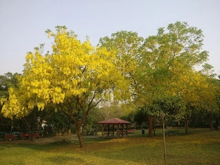 A Small & Beautiful Park in S Block, GK2, Dehradun