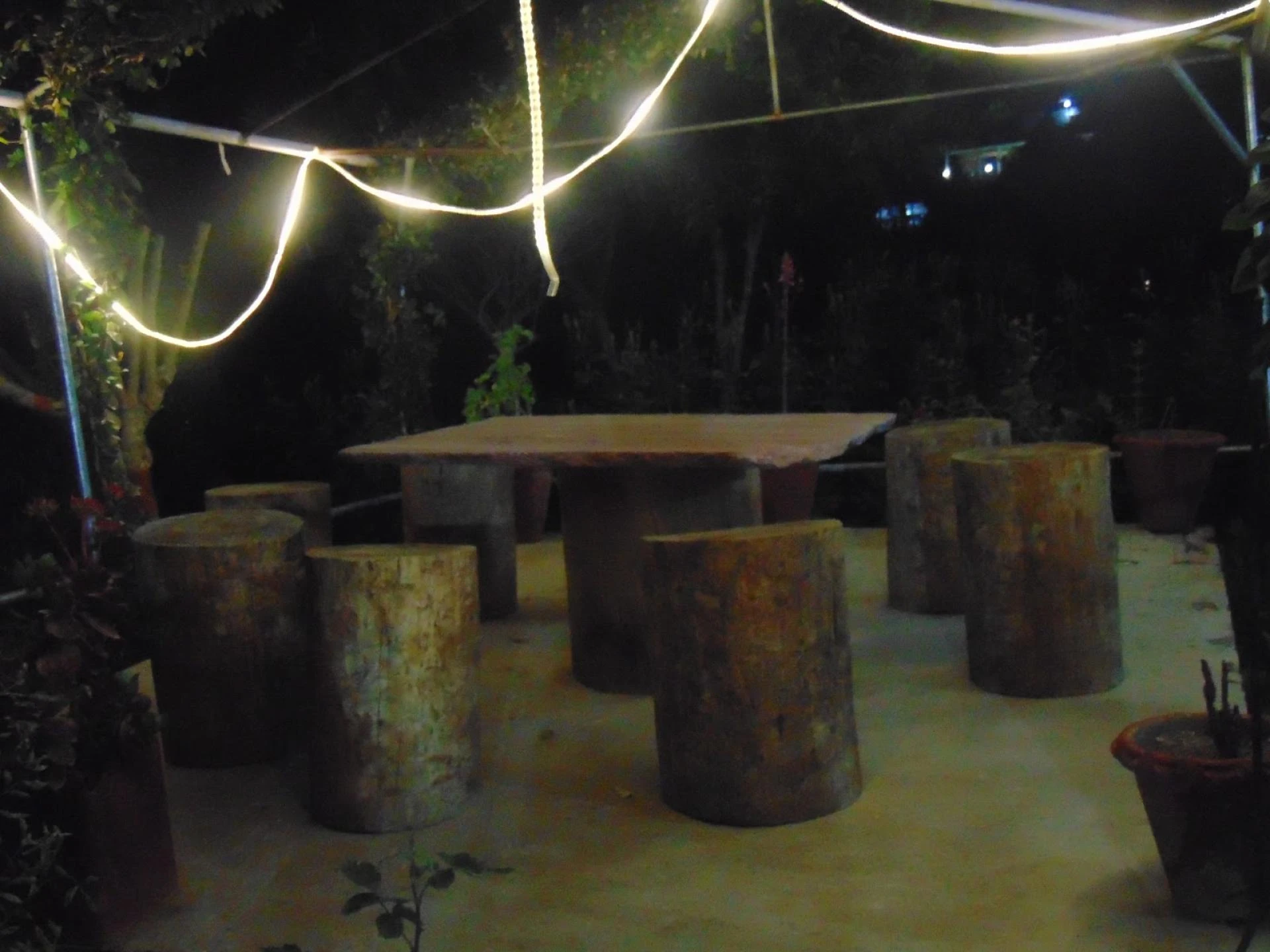 Maa Anandmayee Guest House, Eco Binsar, Dhaulachinna - A few sights