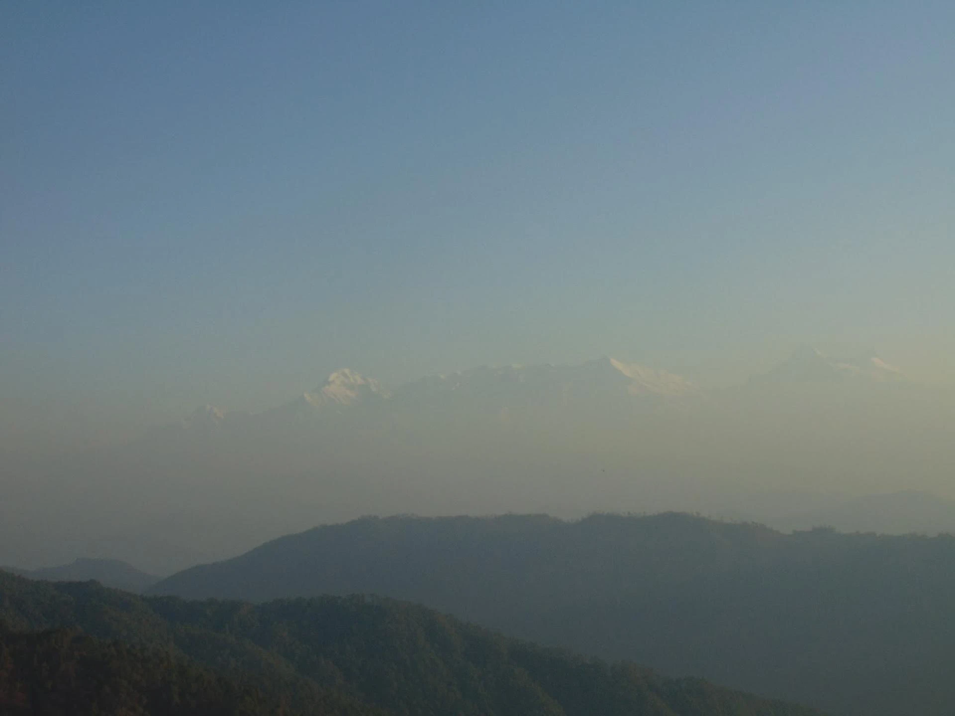 Maa Anandmayee Guest House, Eco Binsar, Dhaulachinna - A few sights