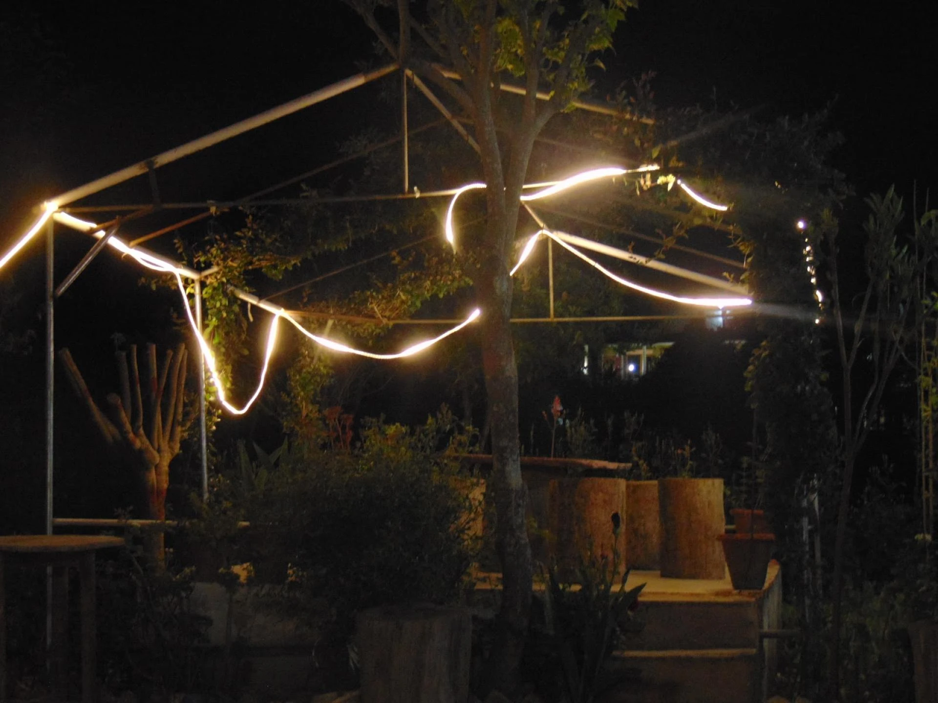 Maa Anandmayee Guest House, Eco Binsar, Dhaulachinna - A few sights