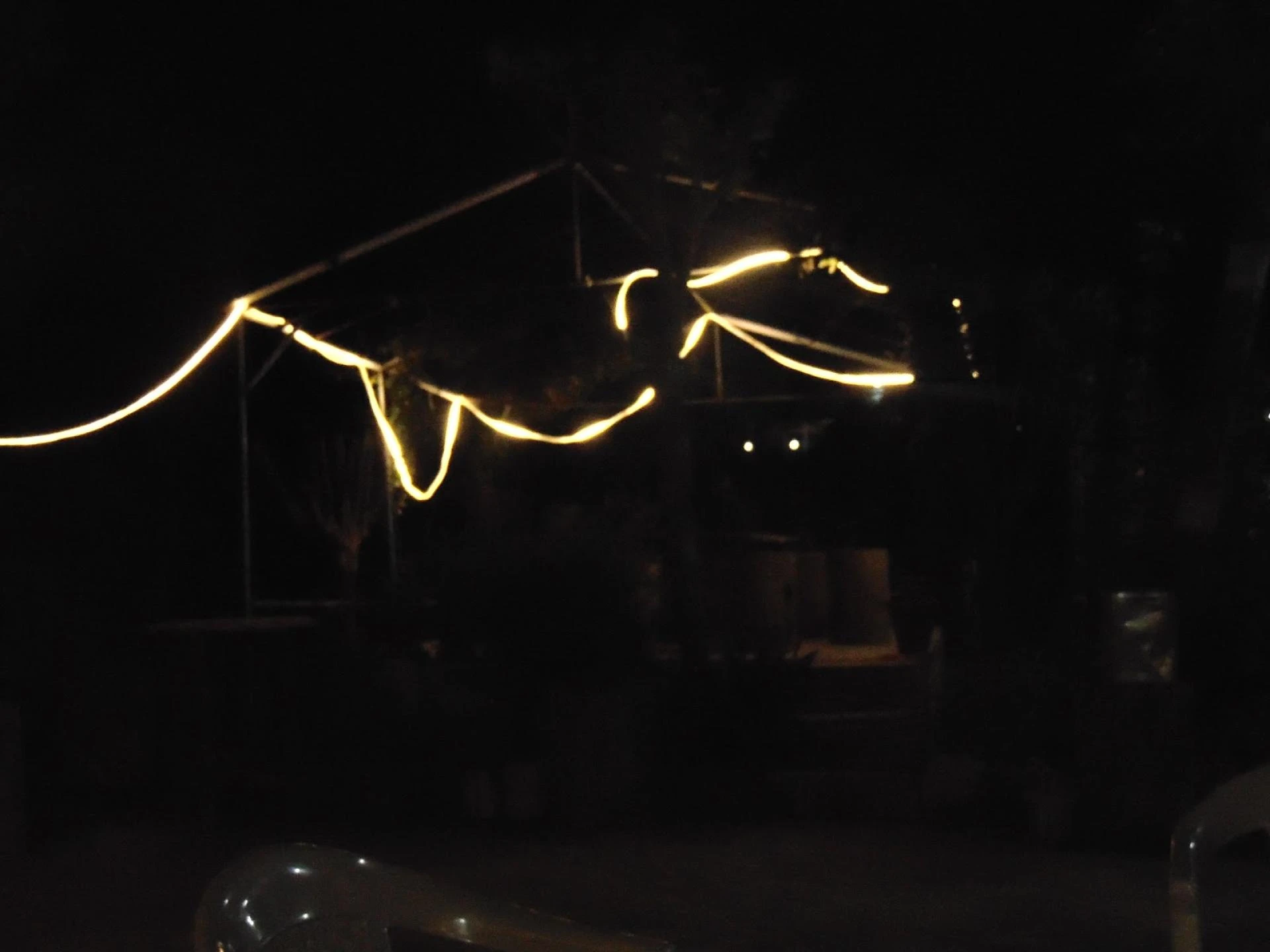 Maa Anandmayee Guest House, Eco Binsar, Dhaulachinna - A few sights