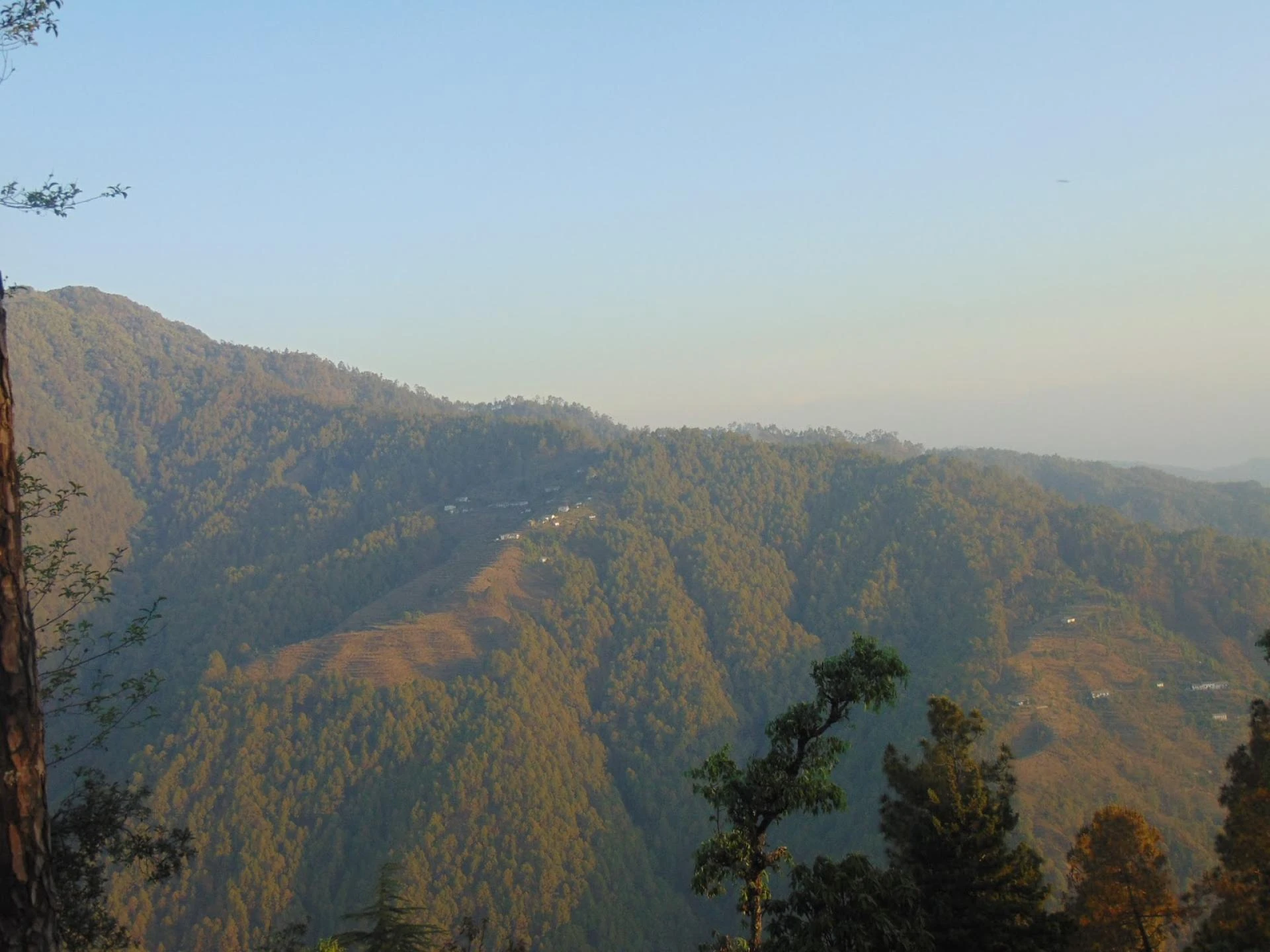 Maa Anandmayee Guest House, Eco Binsar, Dhaulachinna - A few sights
