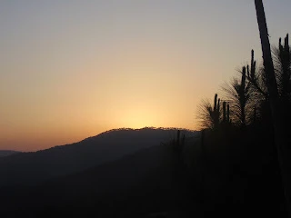 A Few Moments Of Sunset Near Binsar, Uttrakhand (Kumaon)