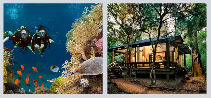Safari Secrets: Wild Wonders of Southern Africa | Luxury Getaways