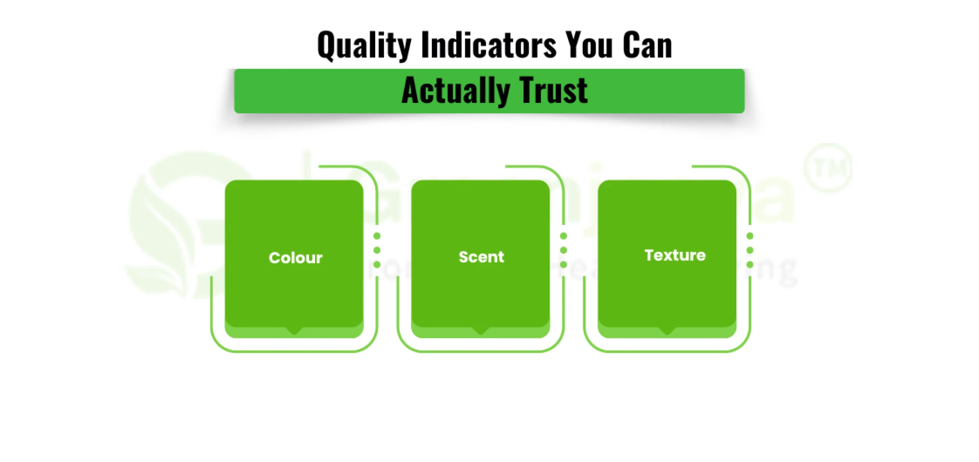The Ultimate Guide to Choosing High-Quality Bulk Wheatgrass Powder: What Suppliers Don't Tell You