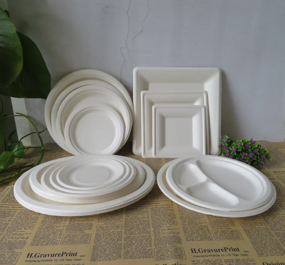 Circular Economy in Action: The Journey of Bagasse from Farm to Table