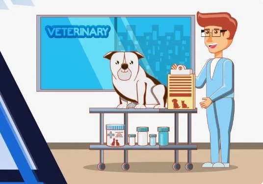 What Does a Veterinary Pharmaceutical Sales Representative Do?