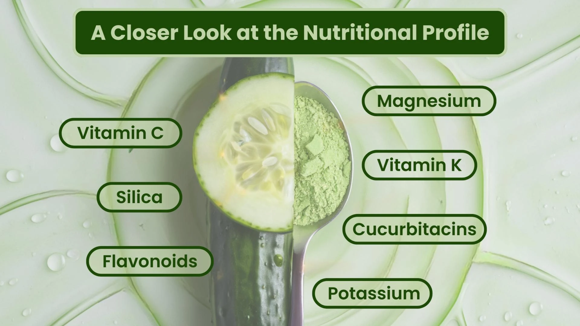 Cucumber Fruit Extract Powder: A Natural Ingredient for Beauty, Health, and Beyond