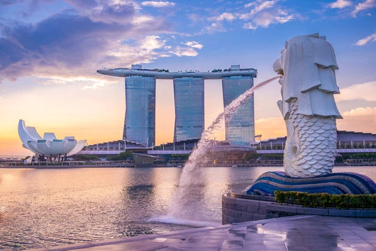 Mobile App Development Singapore: Your Guide to Success with Hyena IT