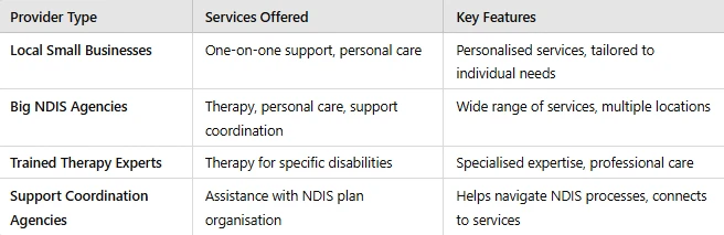 NDIS Providers in Eastern Creek: Your Essential Guide