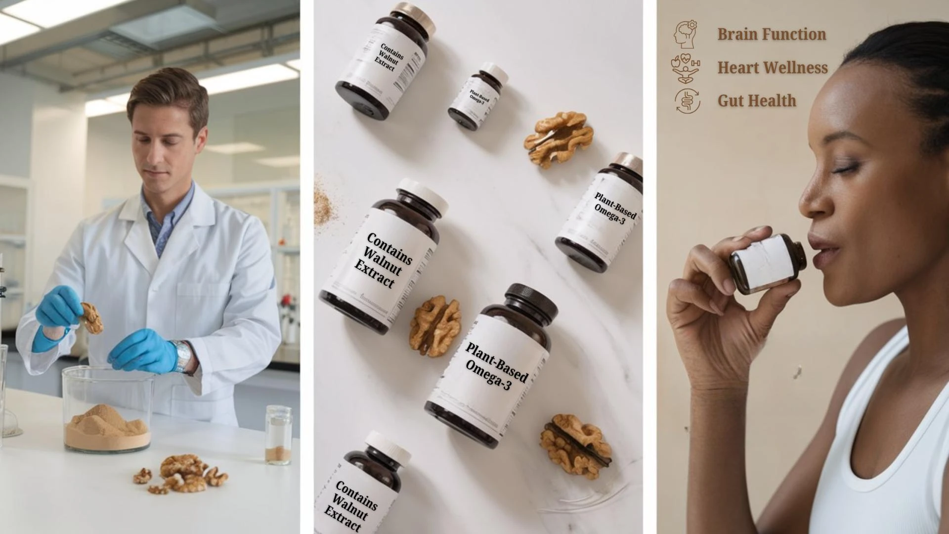 Organic Walnut Seed Powder for Nutraceuticals: A Natural Fit for Functional Health