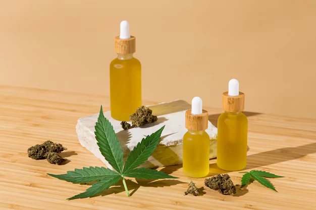 Enhance Your Well-Being with Premium CBD Wellness Products Online