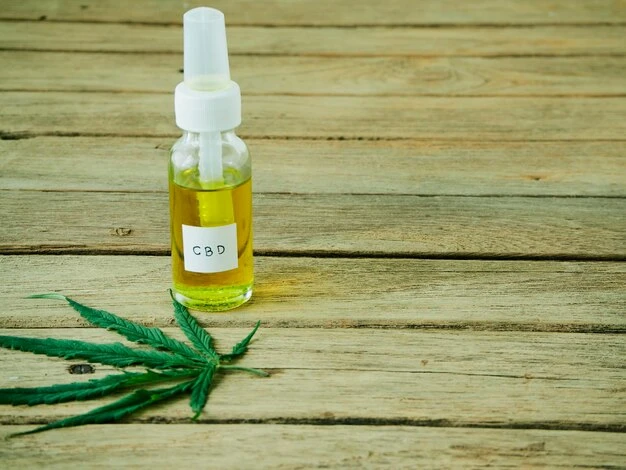 Enhance Your Well-Being with Premium CBD Wellness Products Online