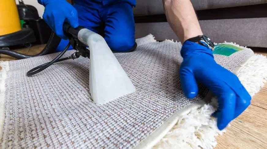 Eco-Friendly Maid Services in San Francisco: Clean Your Home, Save the Planet