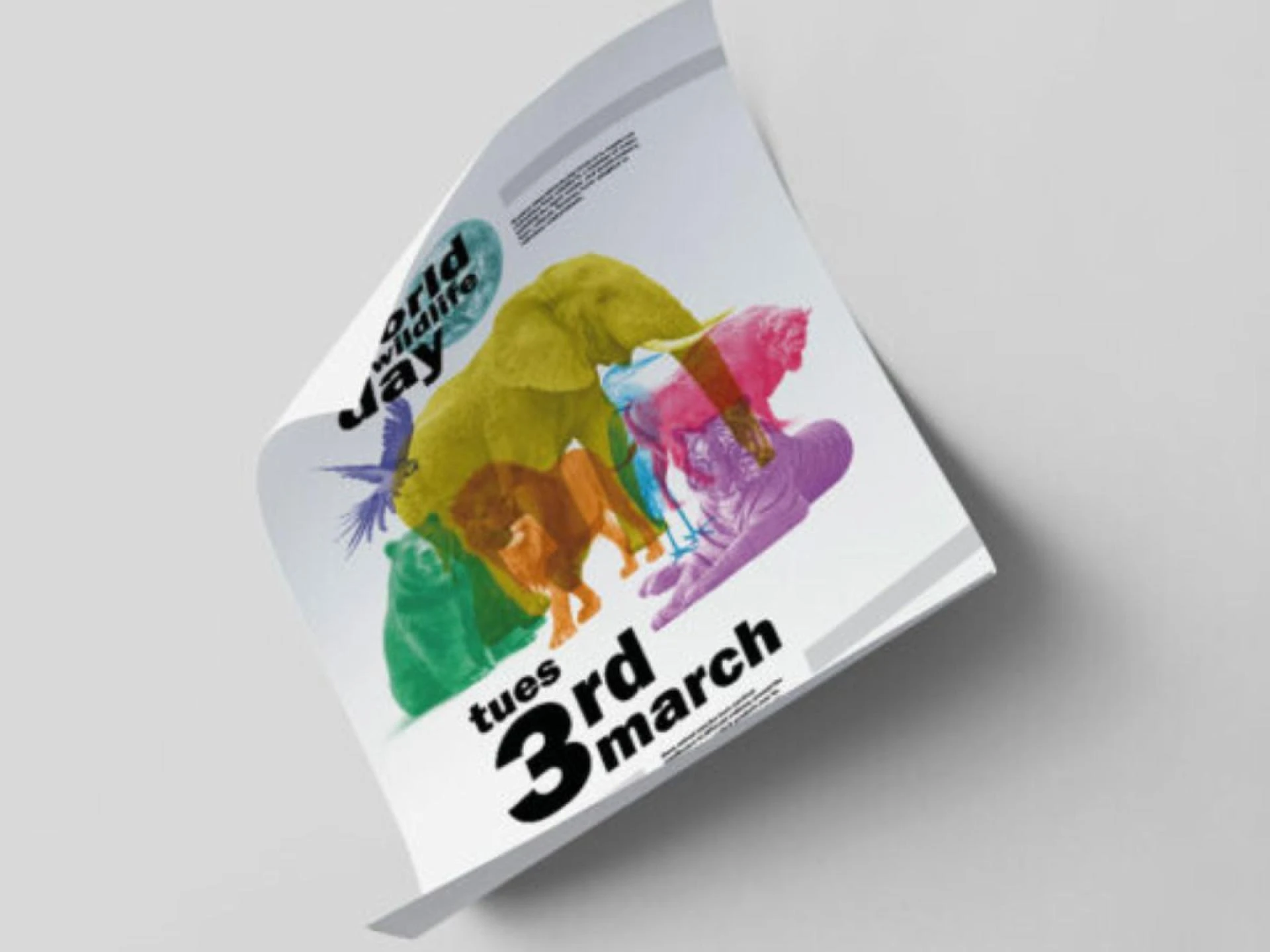 A3 Posters – High-Quality Printing for Business & Personal Use