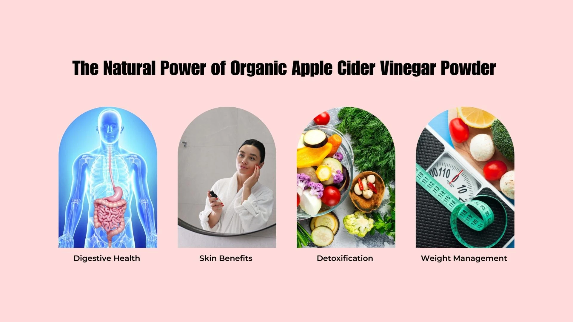 Decoding the Surge in Consumer Demand for Organic Apple Cider Vinegar Powder and Its Impact on the Industry