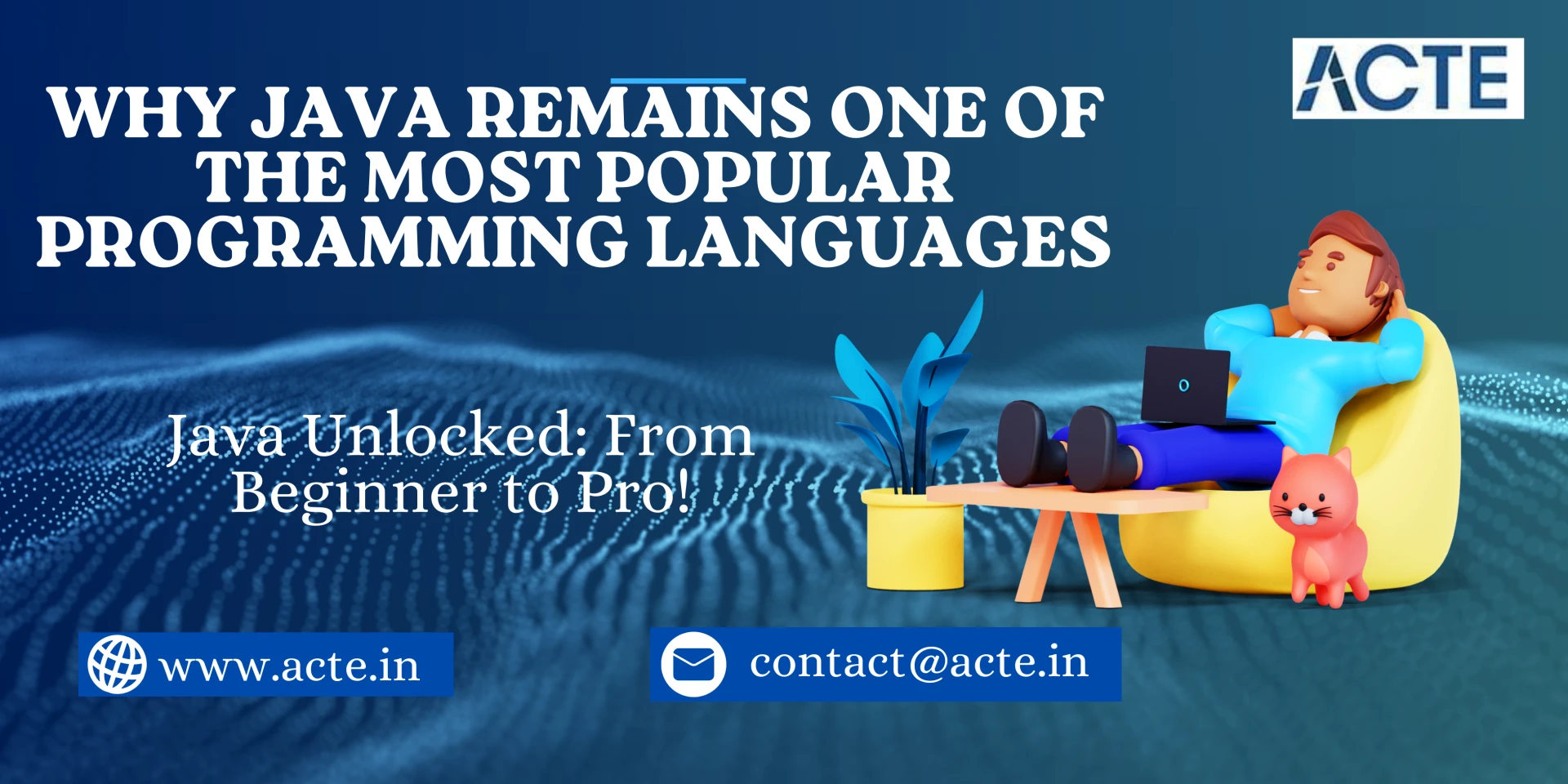 The Reasons Java Is Among the Most Used Programming Languages