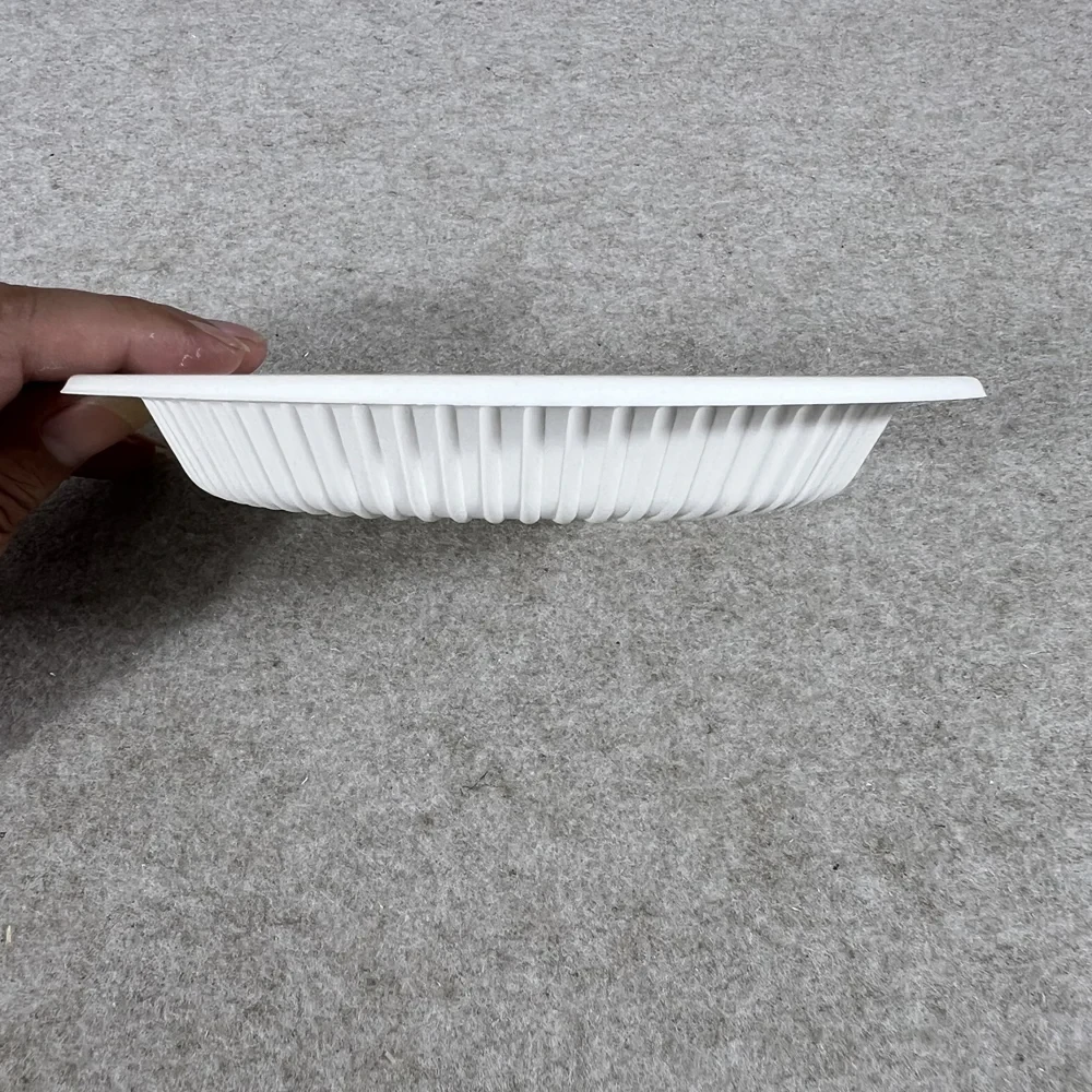Shop Leak-Resistant Cornstarch Plates—Eco-Safe and Affordable