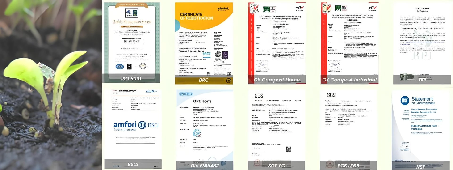 Plastic-Lined Cups Fail Recycling—Biodegradable Paper Cups Fix That