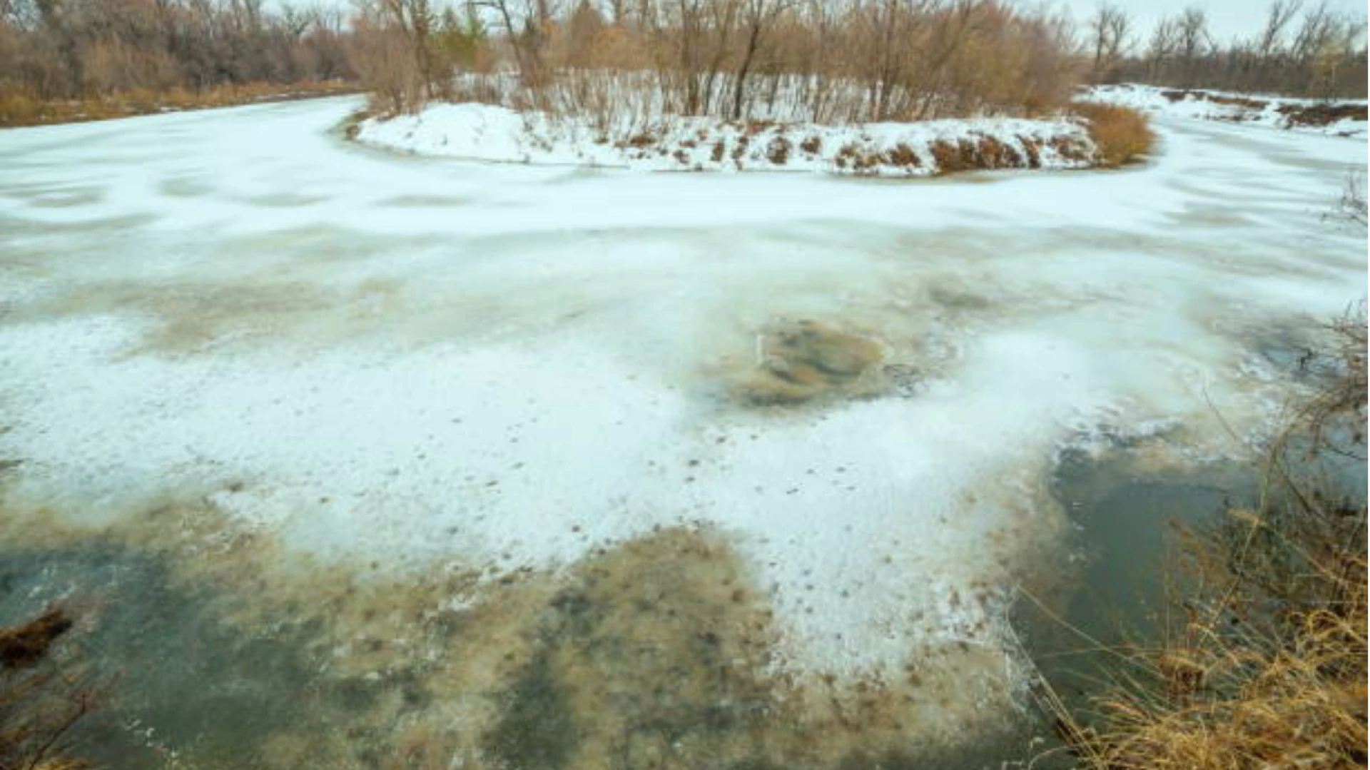 Water Treatment Plant: How It Works & Why It's Essential