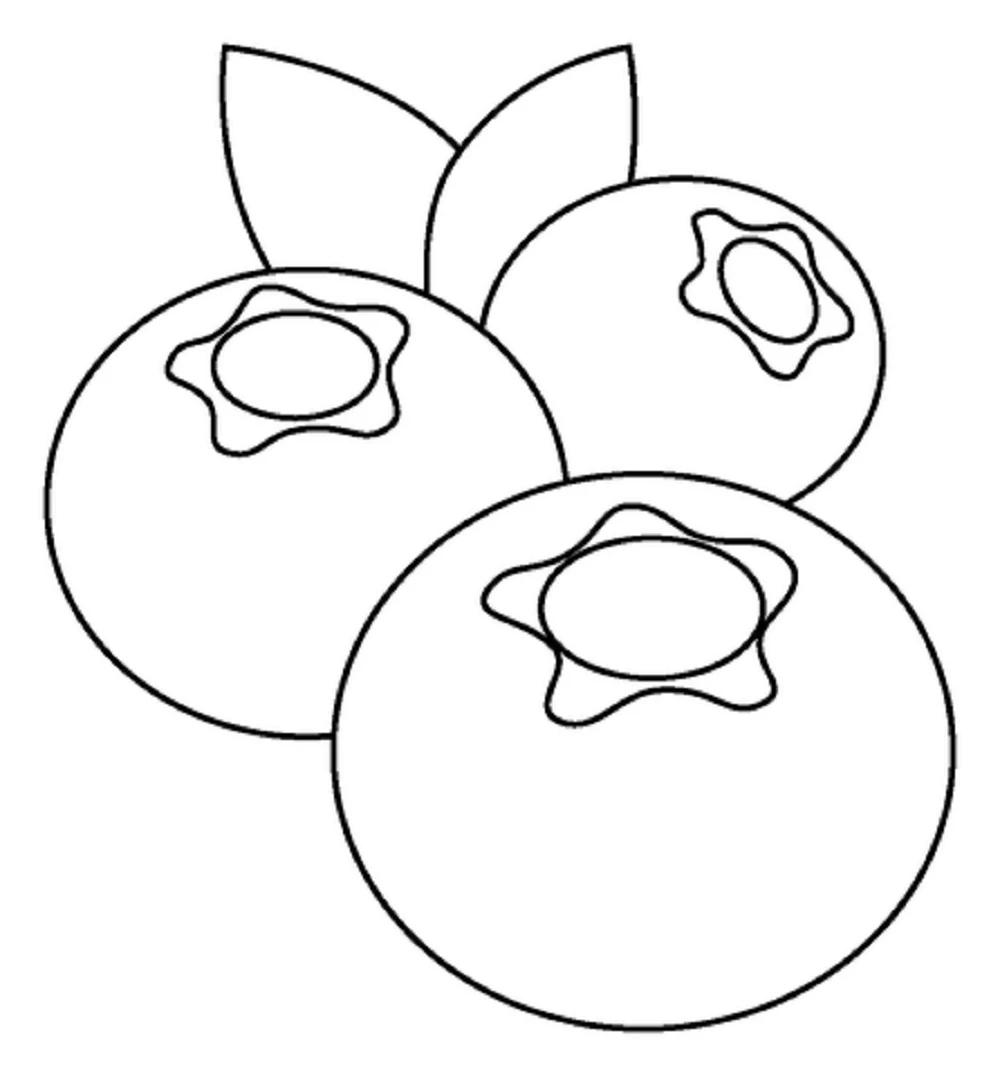 Blueberries Coloring Pages Printable For Kids