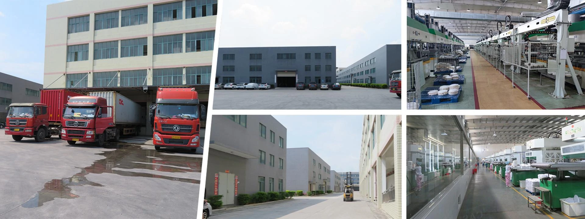 Top 10 Biodegradable Tableware Manufacturers & Suppliers in China (2025)