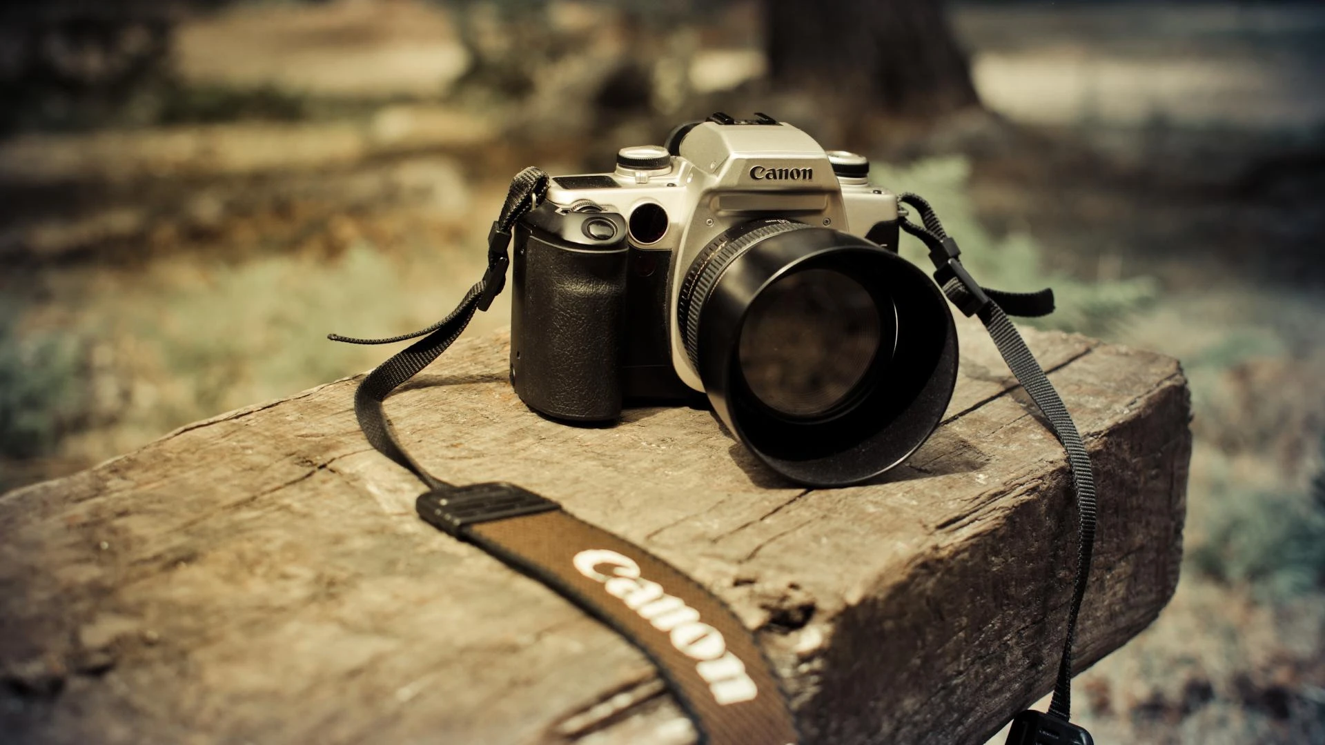 How Zaini Media Company Uses 360-Degree Videos to Create Immersive Viewer Experiences