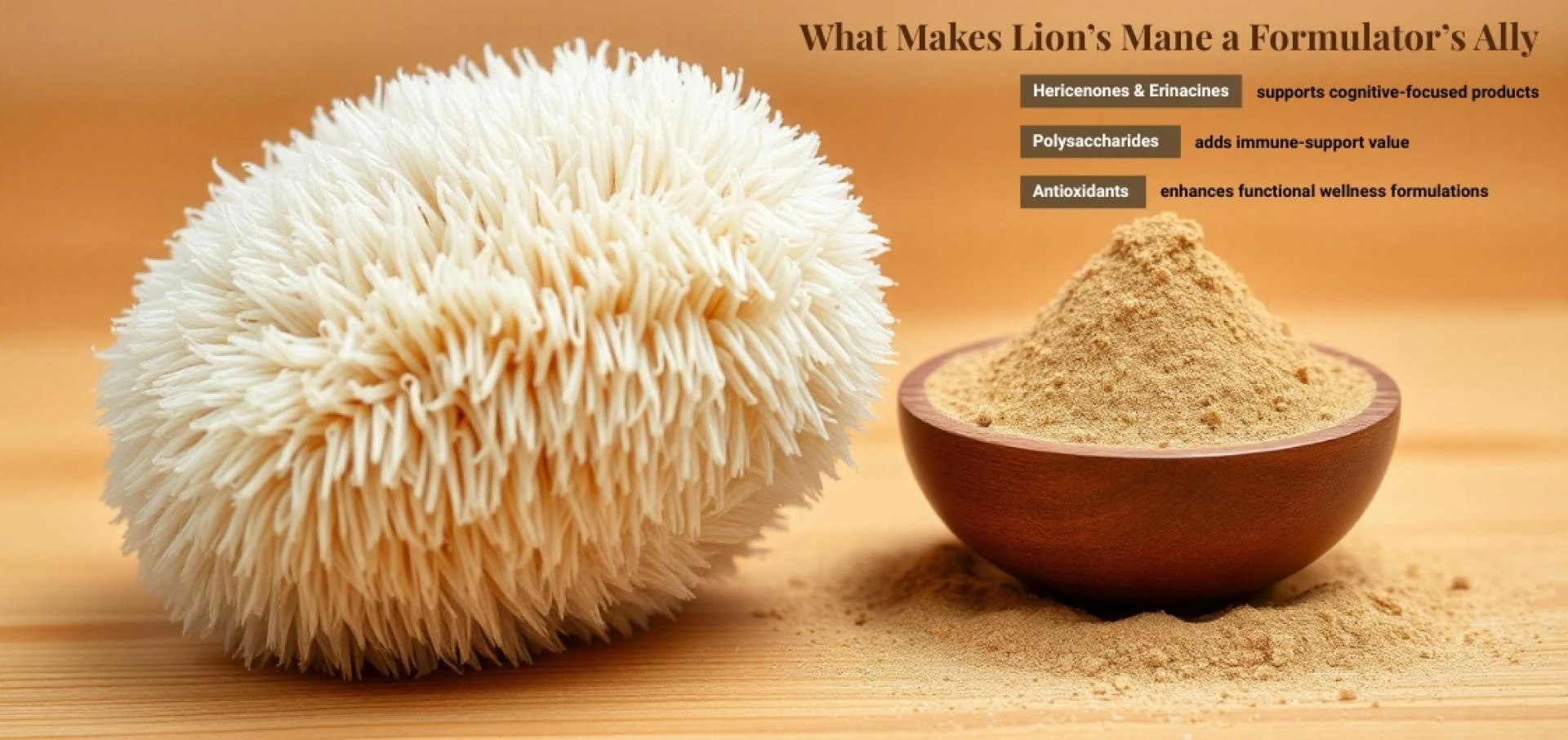 Organic Lion's Mane: The Cognitive Boost Your B2B Products Are Missing