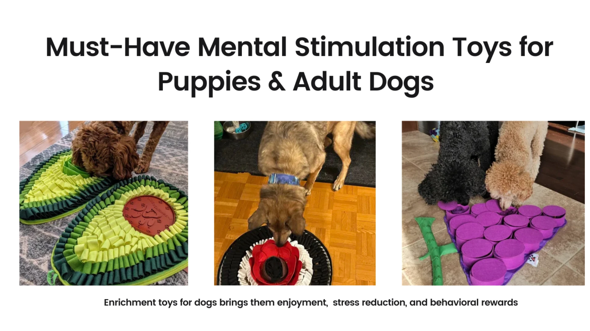 How Can Mental Stimulation Toys for Dogs Improve Behavior and Focus?