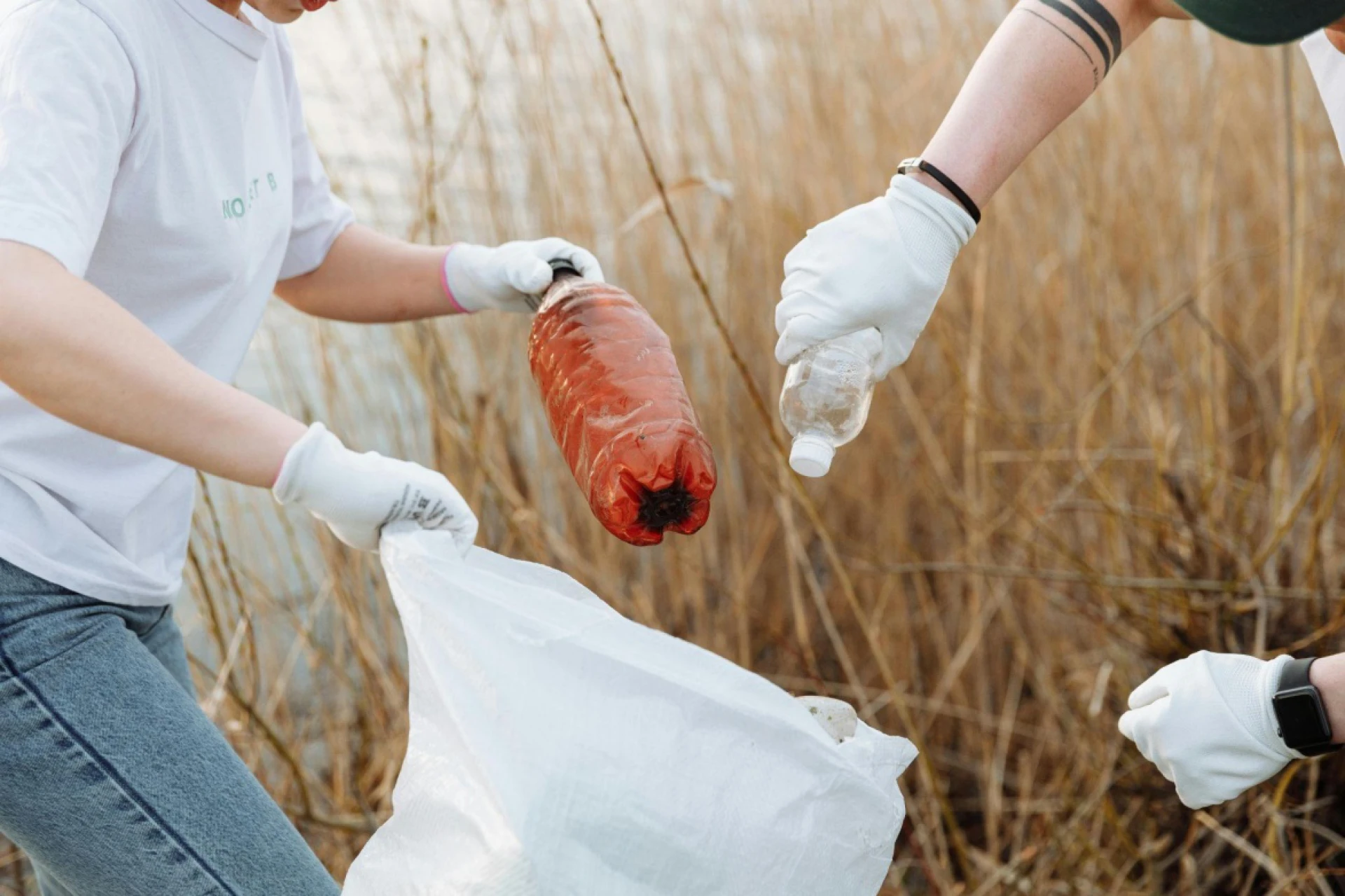 What Happens to Junk After It’s Hauled Away? A Behind-the-Scenes Look at Waste Disposal