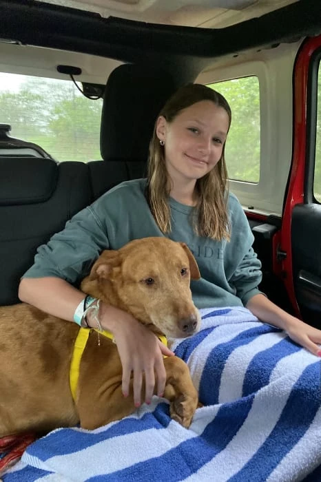 All Animal Shelters Need to Do This- How One Encounter Changed Our Whole Trip