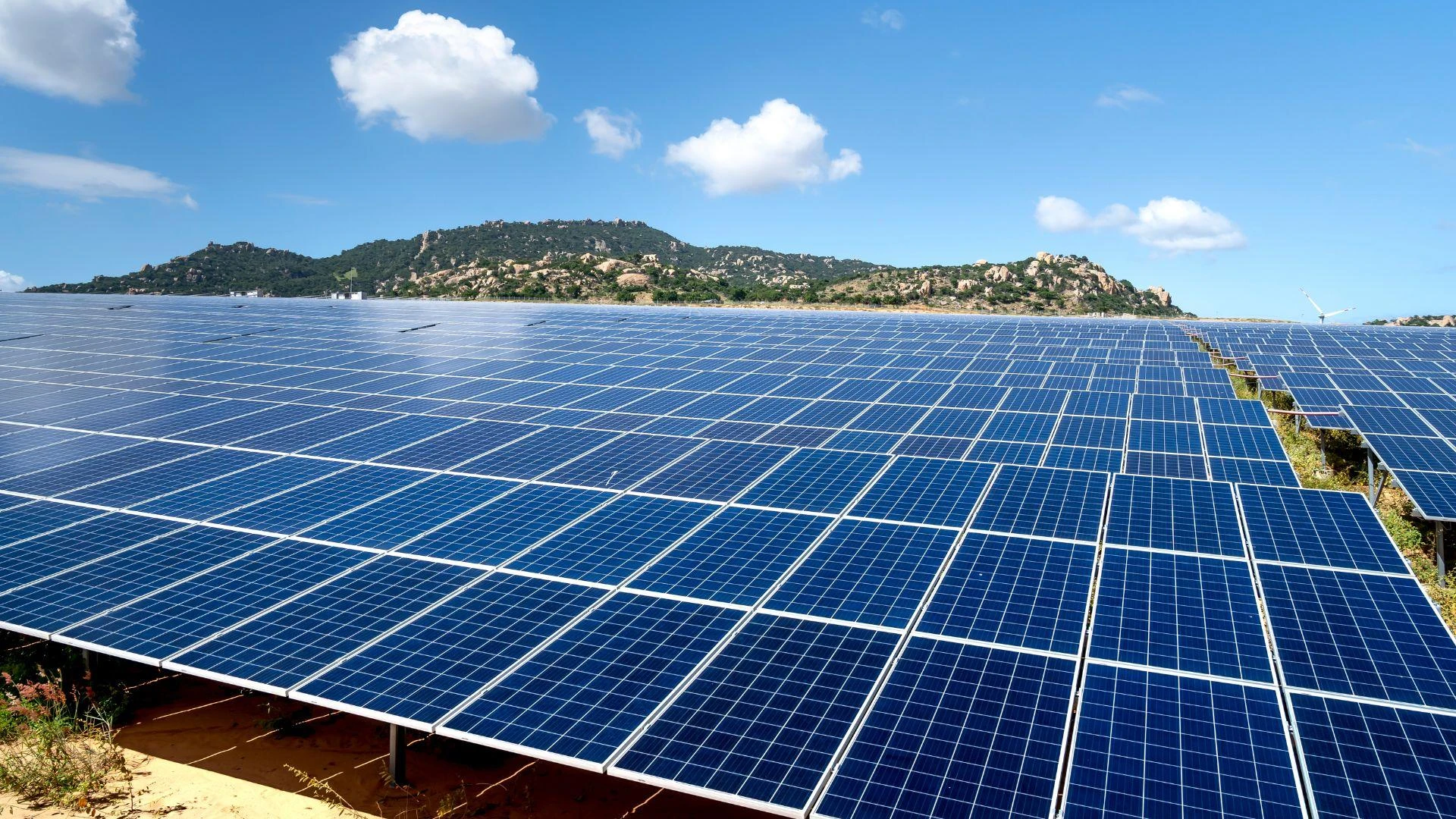 From Concept To Kilowatts: The Process Of The Best Solar Park Developer