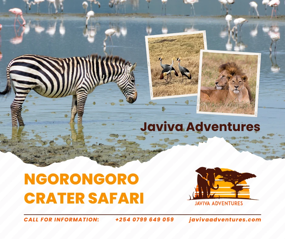 Traveling with Kids in Ngorongoro: Family Safari Tips and Tricks