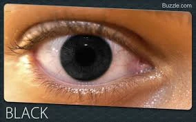 3 Rarest Eye Colors You May Not Have Seen