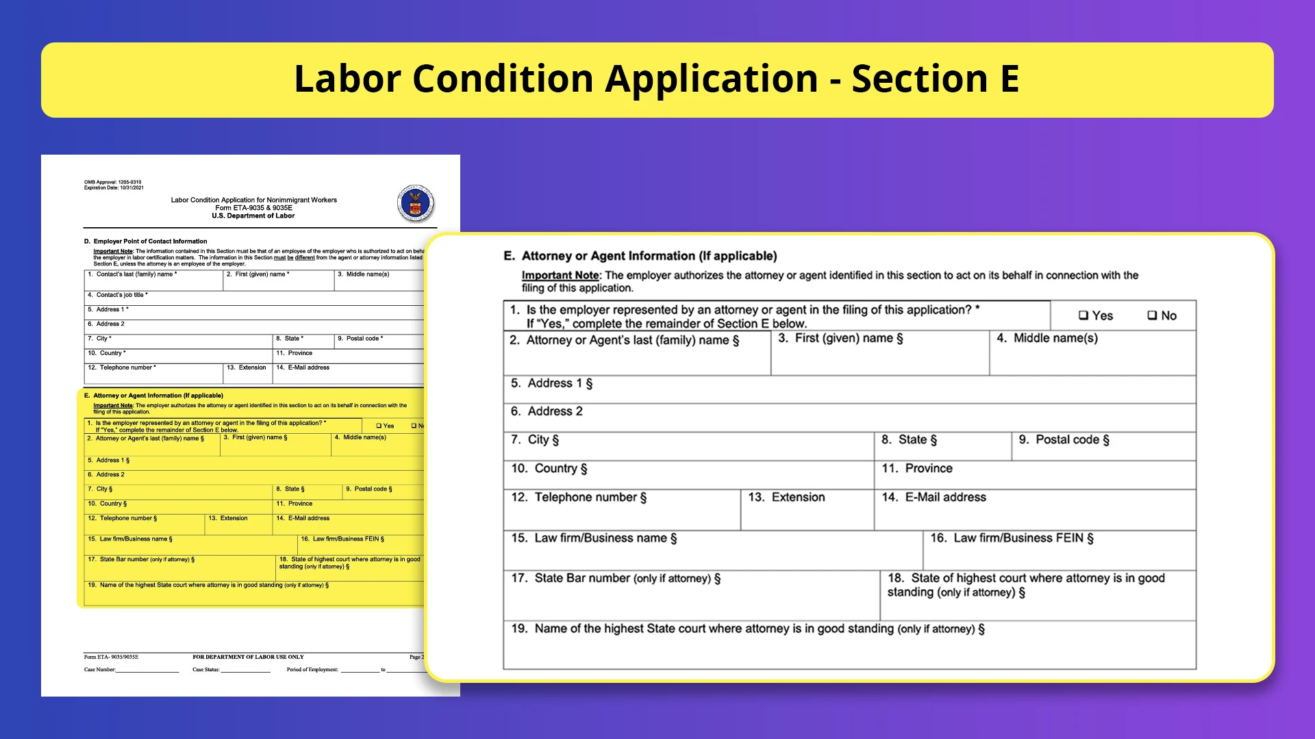 Understanding the Labor Condition Application